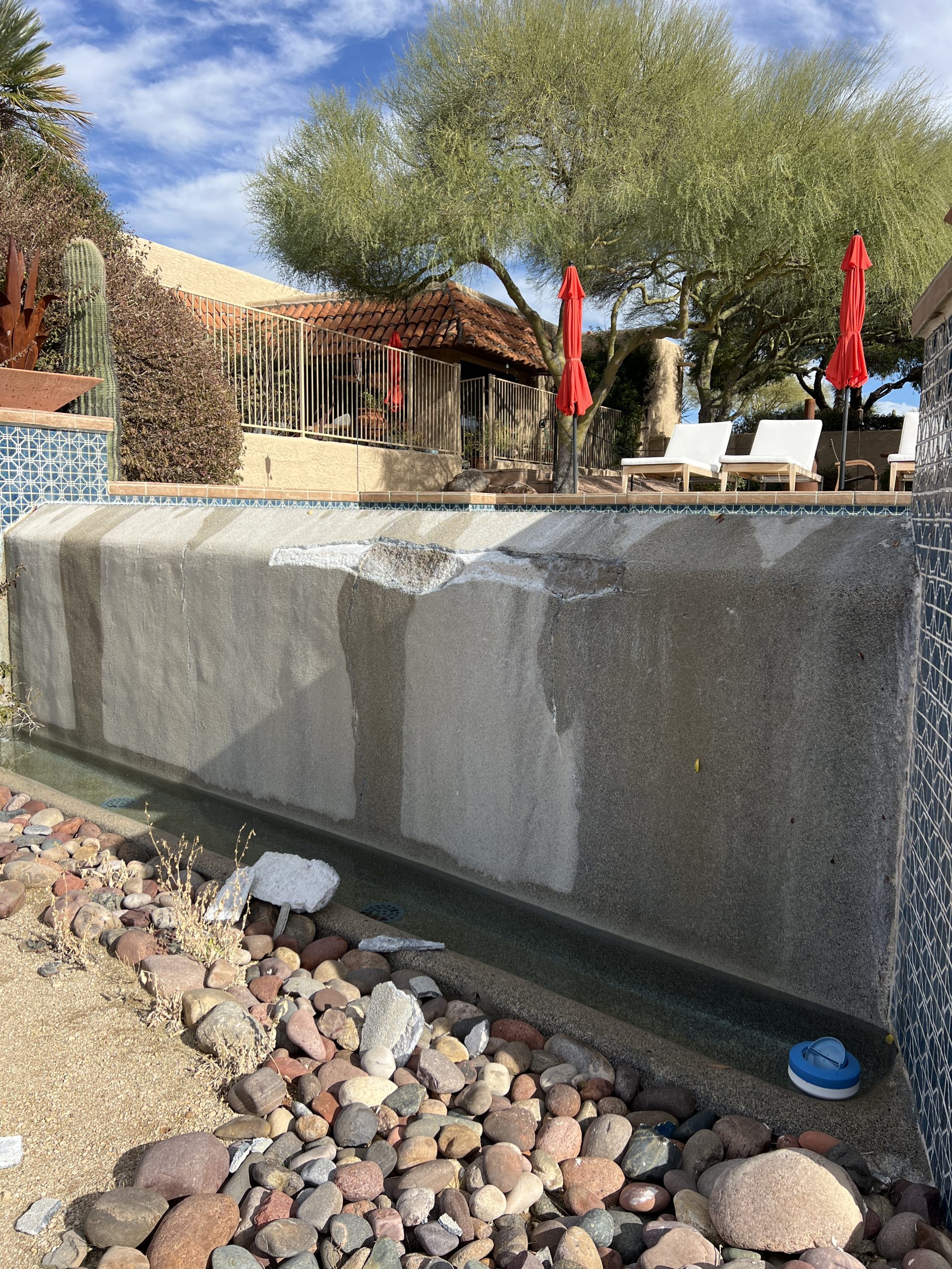 Phoenix Before